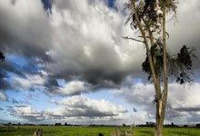 坦桑尼亚女篮为国争光，不负重托