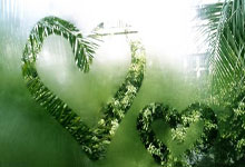 坦桑尼亚女篮为国争光，不负重托