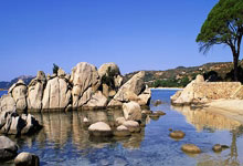 坦桑尼亚女篮为国争光，不负重托