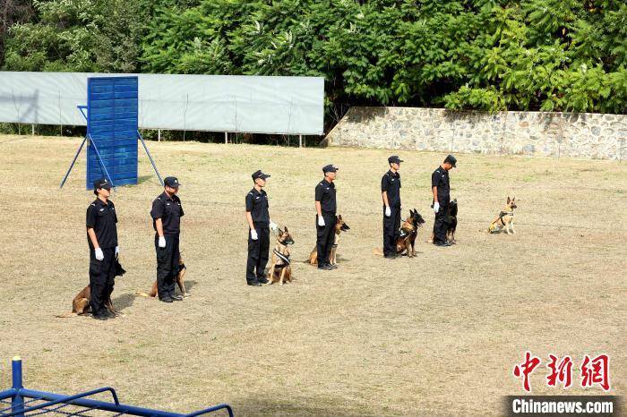 同城乐体育竞技-特立独行！密克罗尼西亚男子铁饼选手力拔头筹的简单介绍