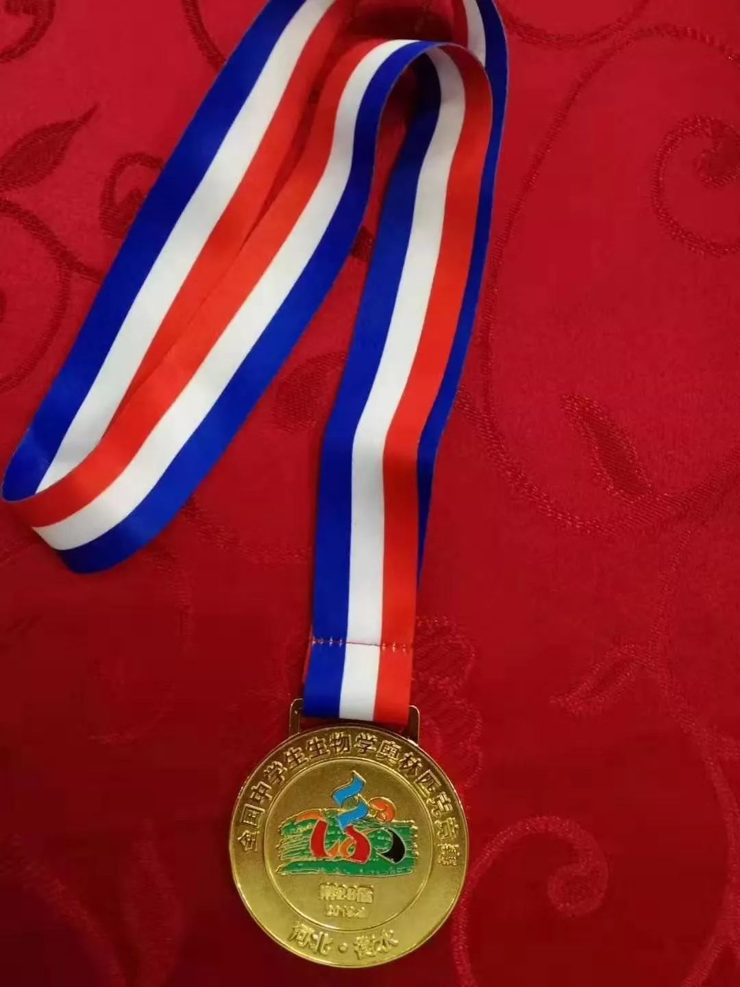 阿拉伯联合酋长国选手斩获金牌 阿拉伯联合酋长国选手斩获金牌